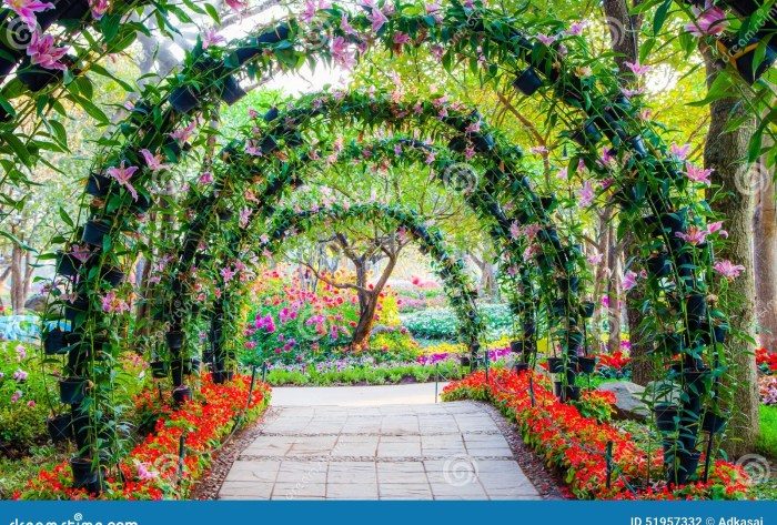 Garden flower ornamental plants beautiful walkway arches plant clipart asian festival thailand chiang rai stock green clipground