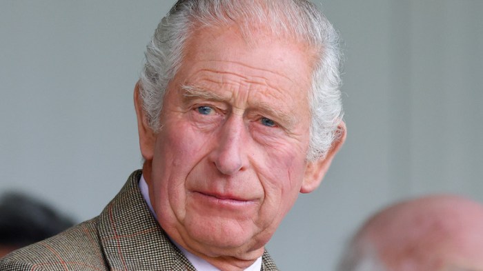 Konten Video: Mengapa Video Menjadi Raja di Internet