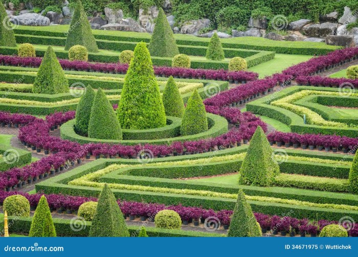 Ornamental garden jardin paysage plantes arbre ornementales pattaya